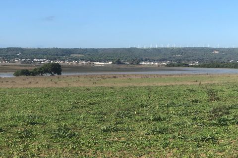 Terra a Barbate, Cadiz, Barbate - € 480.000 | Ref: vc 191 - foto 23